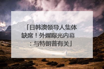 日韩澳领导人集体缺席！外媒曝光内幕：与特朗普有关